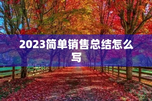 2023简单销售总结怎么写