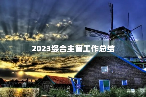 2023综合主管工作总结