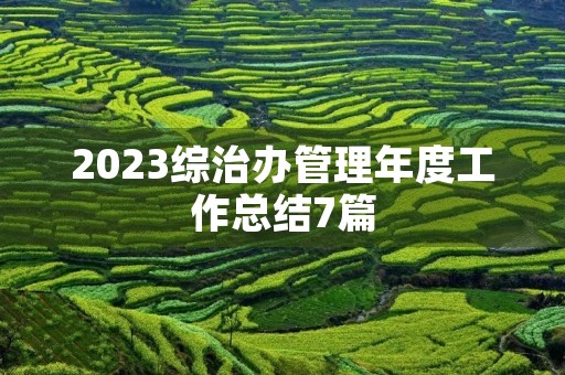2023综治办管理年度工作总结7篇