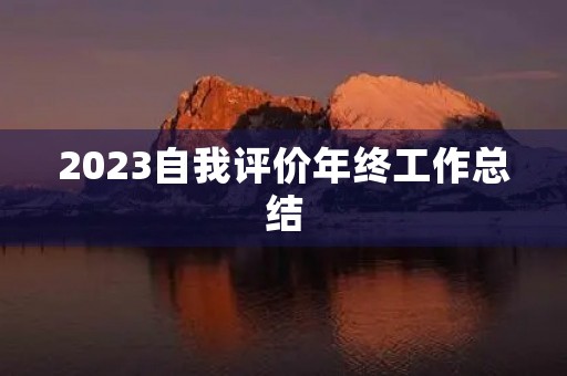 2023自我评价年终工作总结