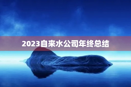 2023自来水公司年终总结