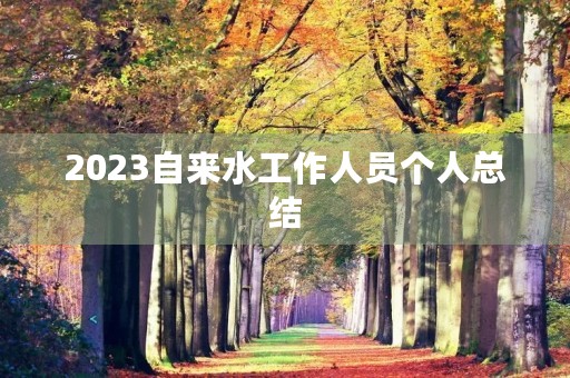 2023自来水工作人员个人总结