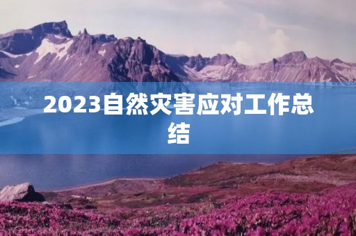 2023自然灾害应对工作总结