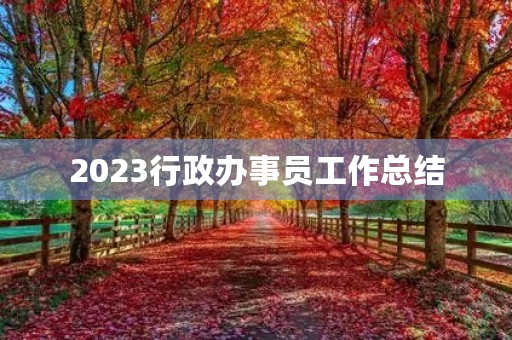 2023行政办事员工作总结