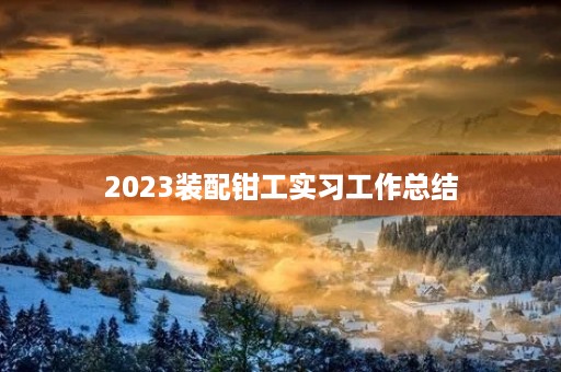 2023装配钳工实习工作总结