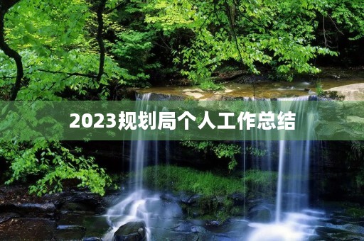 2023规划局个人工作总结