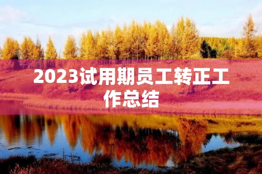 2023试用期员工转正工作总结(9篇)