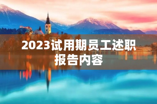 2023试用期员工述职报告内容
