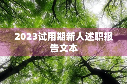 2023试用期新人述职报告文本
