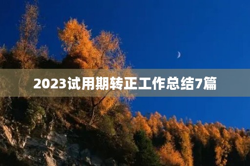 2023试用期转正工作总结7篇