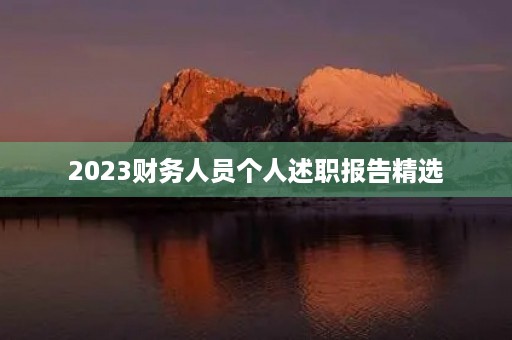 2023财务人员个人述职报告精选