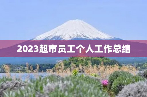 2023超市员工个人工作总结
