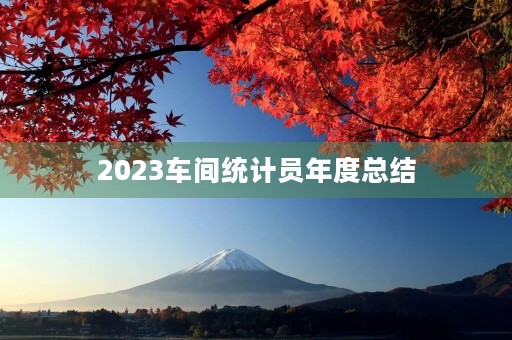 2023车间统计员年度总结