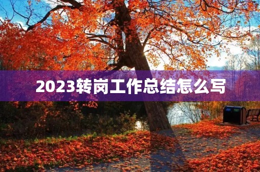 2023转岗工作总结怎么写