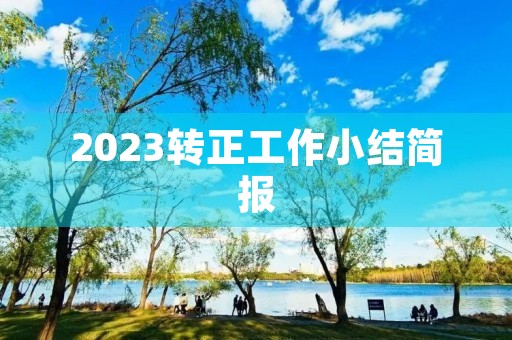 2023转正工作小结简报