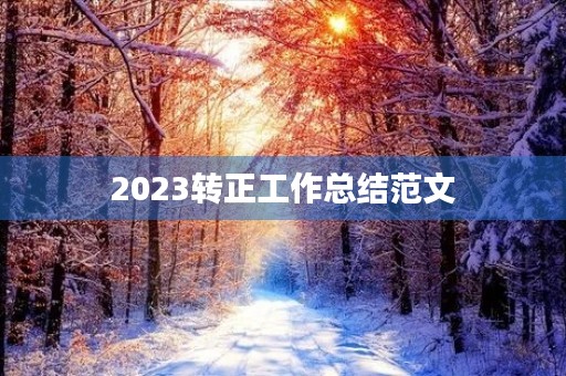 2023转正工作总结范文