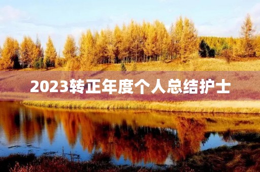 2023转正年度个人总结护士