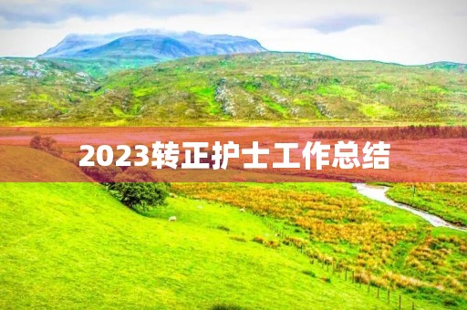 2023转正护士工作总结