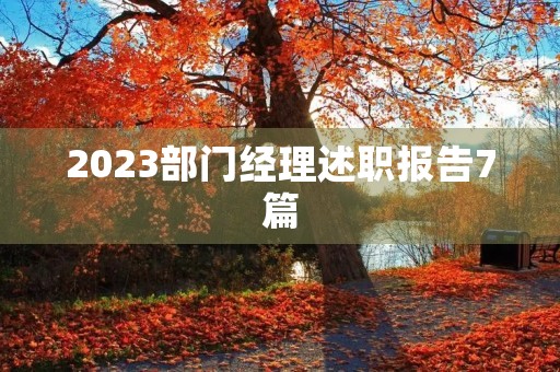 2023部门经理述职报告7篇