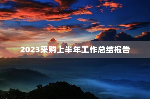 2023采购上半年工作总结报告