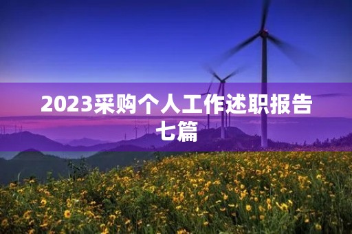 2023采购个人工作述职报告七篇