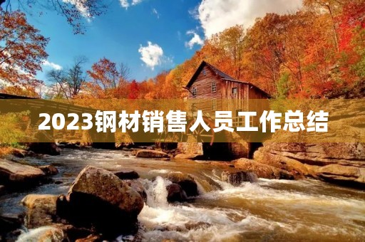 2023钢材销售人员工作总结