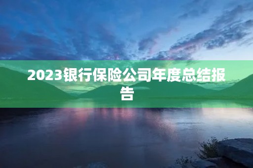 2023银行保险公司年度总结报告
