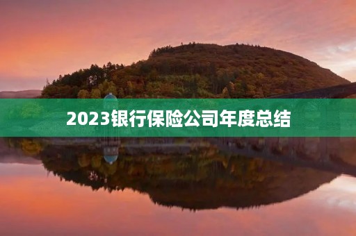 2023银行保险公司年度总结