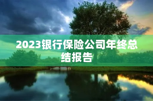 2023银行保险公司年终总结报告