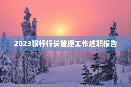 2023银行行长管理工作述职报告