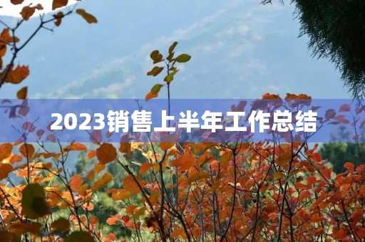 2023销售上半年工作总结(8篇)