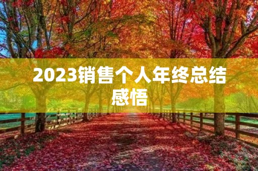 2023销售个人年终总结感悟
