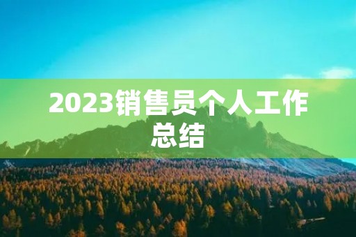 2023销售员个人工作总结(14篇)