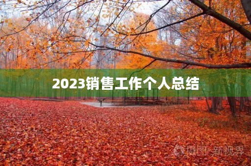 2023销售工作个人总结(10篇)