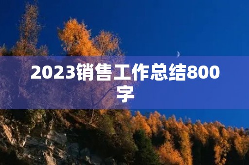 2023销售工作总结800字(10篇)