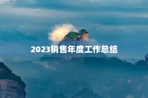 2023销售年度工作总结（14篇）