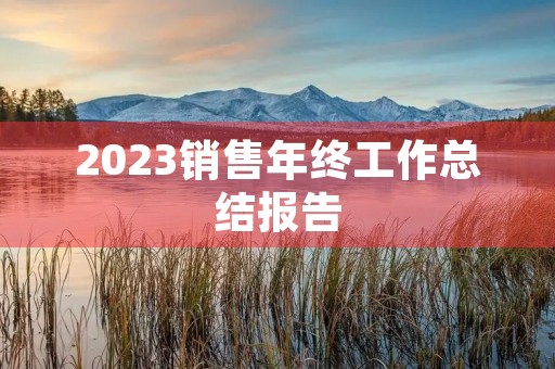 2023销售年终工作总结报告（20篇）