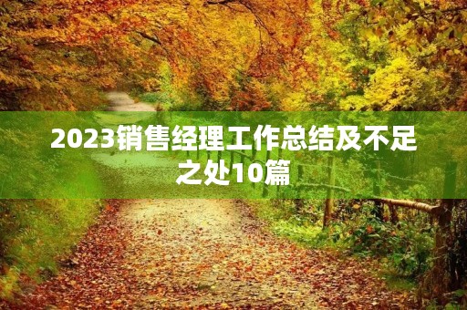 2023销售经理工作总结及不足之处10篇