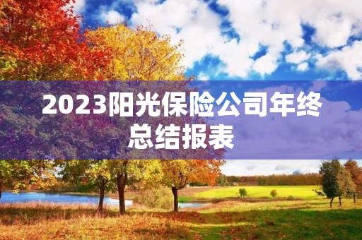 2023阳光保险公司年终总结报表
