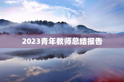 2023青年教师总结报告