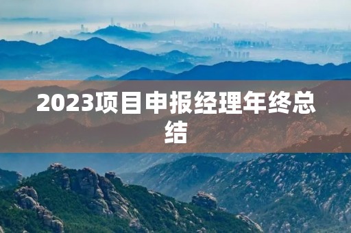 2023项目申报经理年终总结