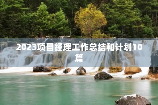 2023项目经理工作总结和计划10篇
