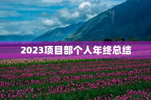 2023项目部个人年终总结 2023项目部个人年终总结