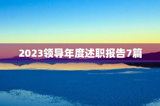 2023领导年度述职报告7篇
