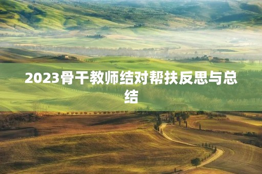 2023骨干教师结对帮扶反思与总结