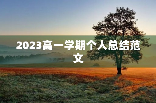 2023高一学期个人总结范文