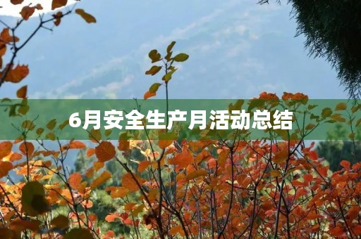 6月安全生产月活动总结