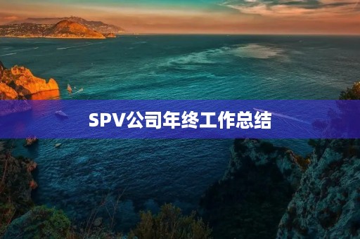 SPV公司年终工作总结