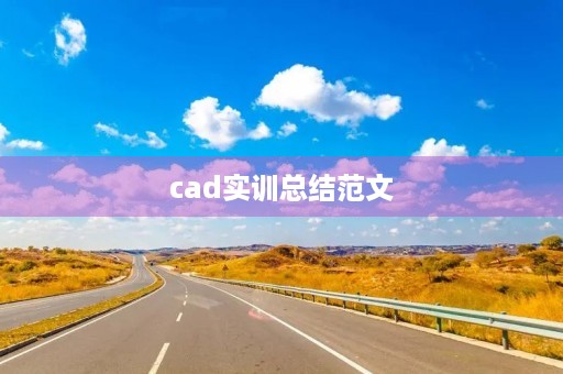 cad实训总结范文