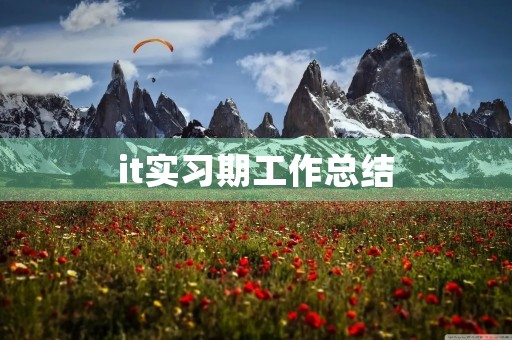 it实习期工作总结 it实习期工作总结